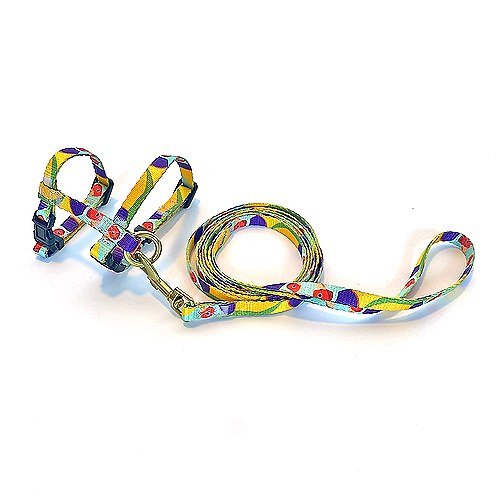 AniPal Gigi the Gouldian Finch Cat Harness & Lead