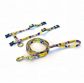 AniPal Gigi the Gouldian Finch Cat Harness & Lead