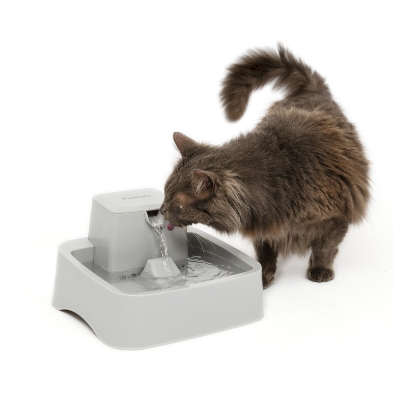 PetSafe® Drinkwell® Pet Fountain