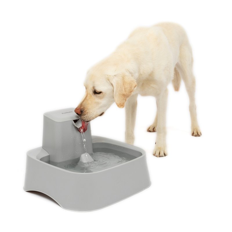 PetSafe® Drinkwell® Pet Fountain