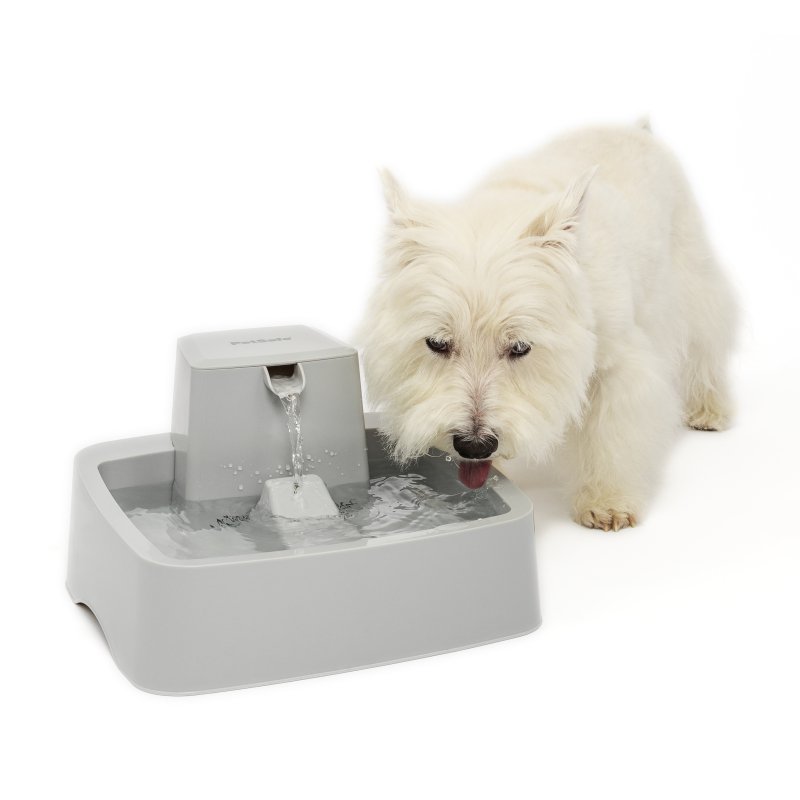 PetSafe® Drinkwell® Pet Fountain