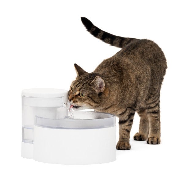 PetSafe® Outlast™ 1.7 Litre Pumpless Pet Fountain