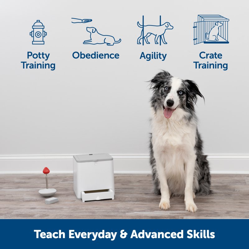 PetSafe® Teach & Treat Remote Reward Trainer