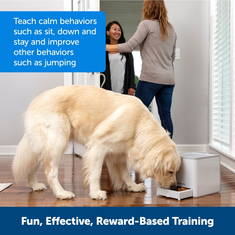 PetSafe® Teach & Treat Remote Reward Trainer