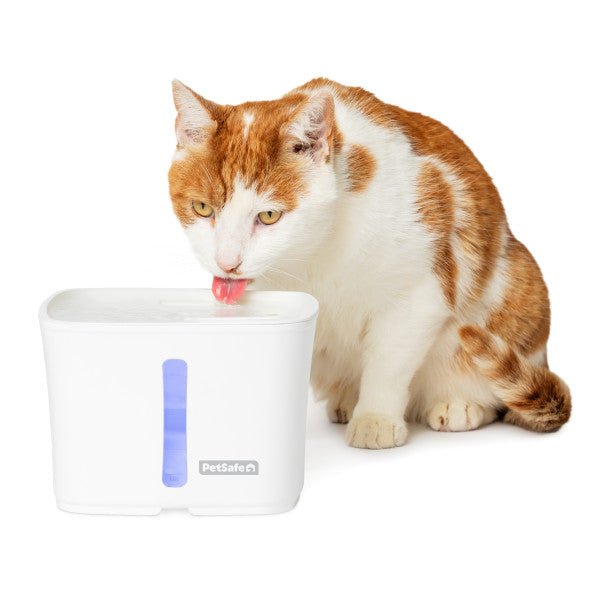 PetSafe® Viva™ Pet Fountain