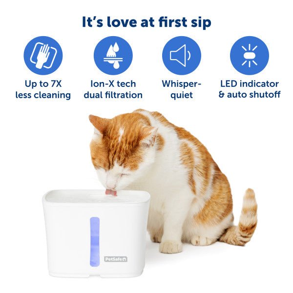 PetSafe® Viva™ Pet Fountain