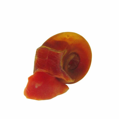 Red Ramshorn Snails - Med (MED) - Just For Pets Australia