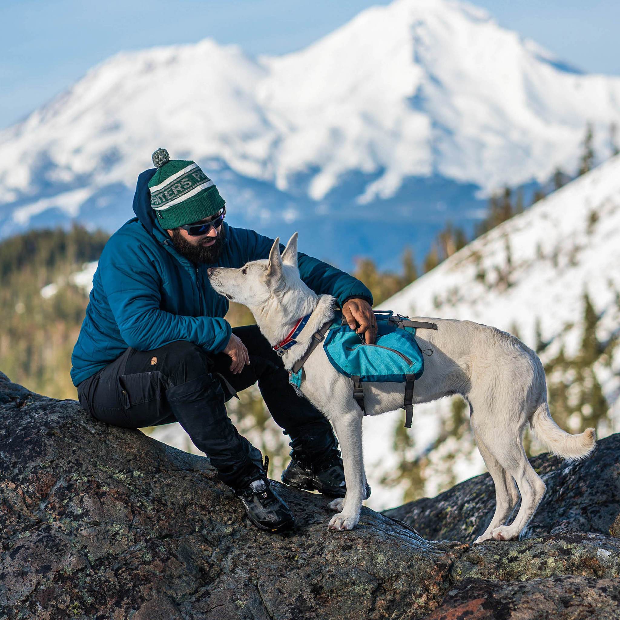 Kurgo Baxter Pack, Coastal Blue