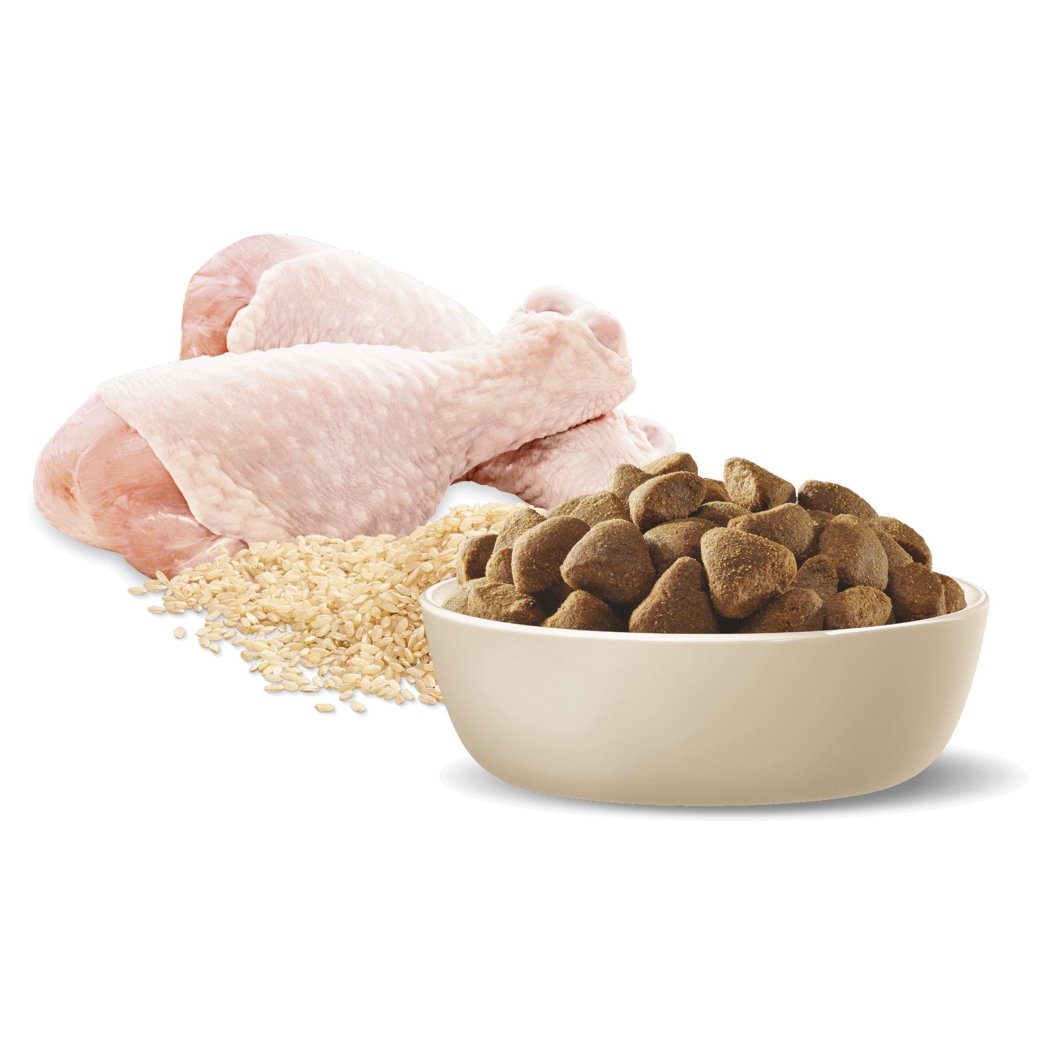 ADVANCE Large Adult Dry Dog Food Chicken with Rice