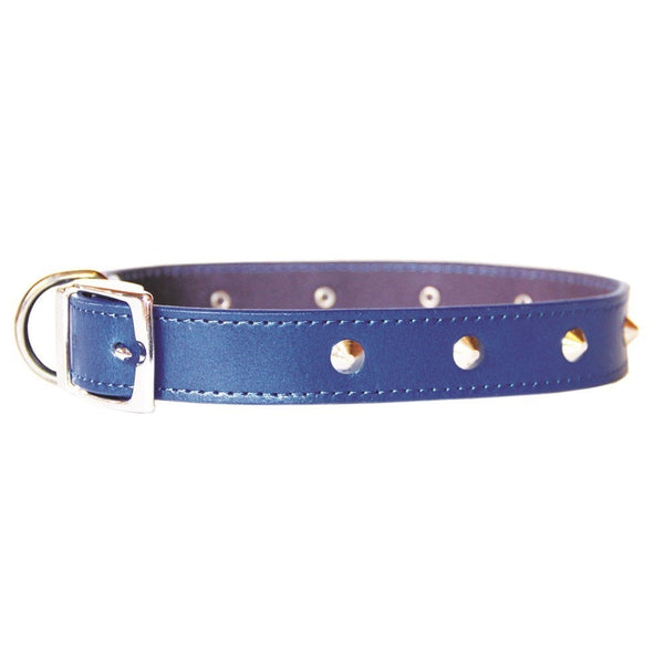 Pet Collars