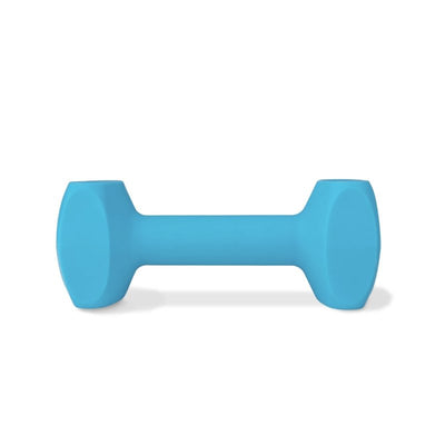 Coachi Training Dumbbell Light Blue Large - Just For Pets Australia