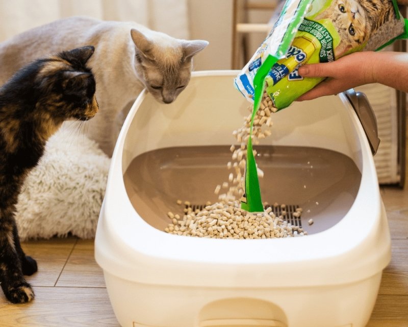 EZI-LOCKODOUR DUAL LAYER CAT LITTER SYSTEM