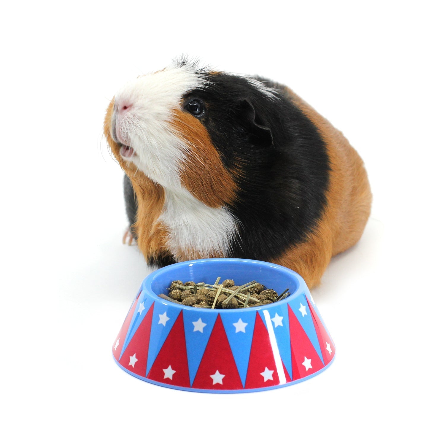 HayPigs! Junior Food Tamer  Mini Food Bowl