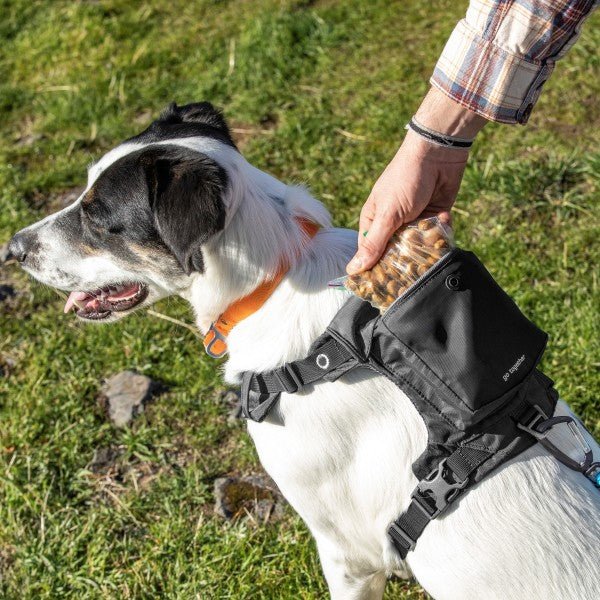 Kurgo Stash n Dash Harness